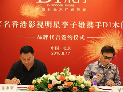 李子雄代言D1木門