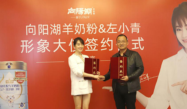 左小青代言向陽(yáng)湖羊奶粉，攜手品牌再次升級(jí)